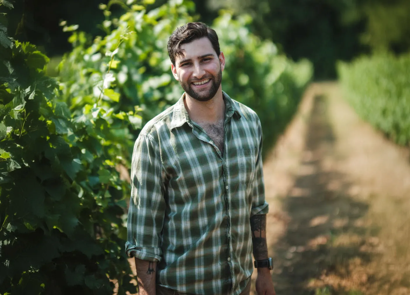 Ivan-Wide Ivan Minuet, Cellar Master